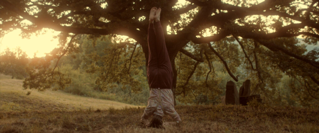 oak movie