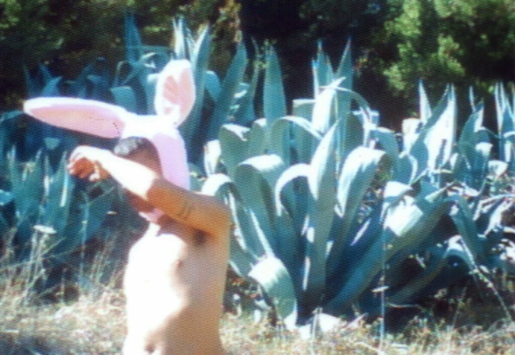 carlos lapin